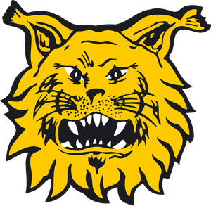 Vaasa VPS
