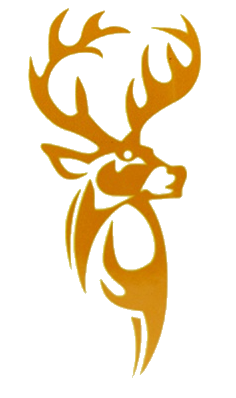 San Sebastian Stags