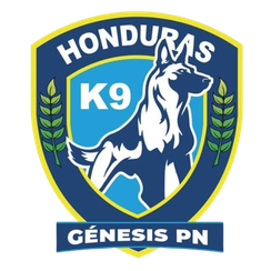 CD Platense Reserves