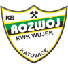 Ruch Radzionkow