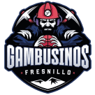 Gambusinos de Fresnillo