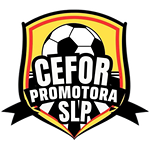 Cefor Promotora San Luis
