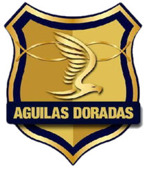 Alianza F&uacute;tbol Club