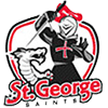Blacktown City Demons